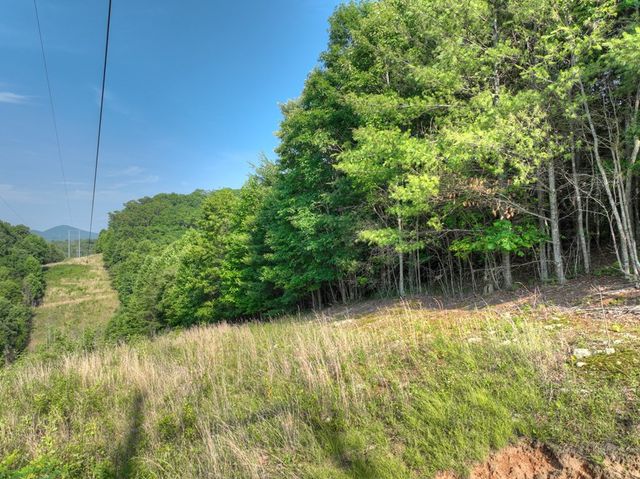 0 Walker Drive, Morganton, GA 30560