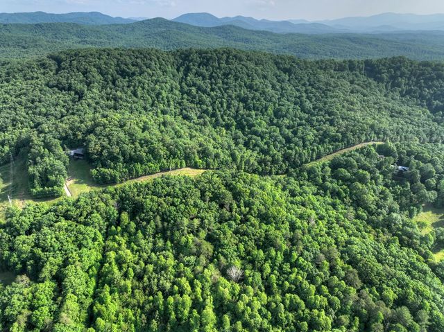 0 Walker Drive, Morganton, GA 30560