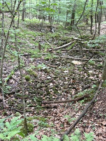 0 Walker Drive, Morganton, GA 30560