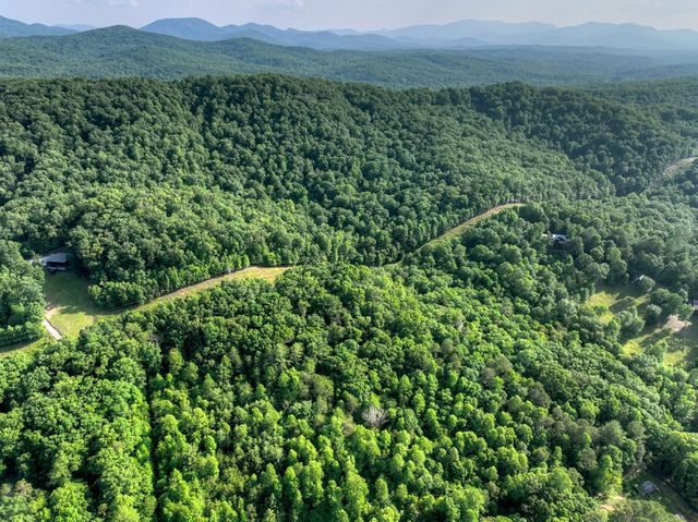 0 Walker Drive, Morganton, GA 30560