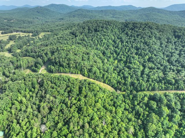 0 Walker Drive, Morganton, GA 30560