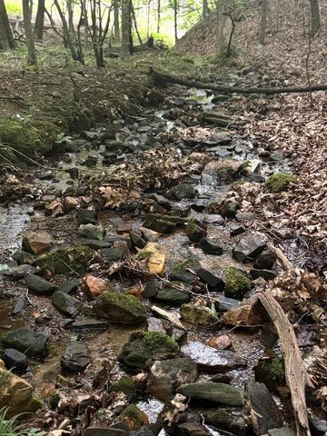 0 Walker Drive, Morganton, GA 30560