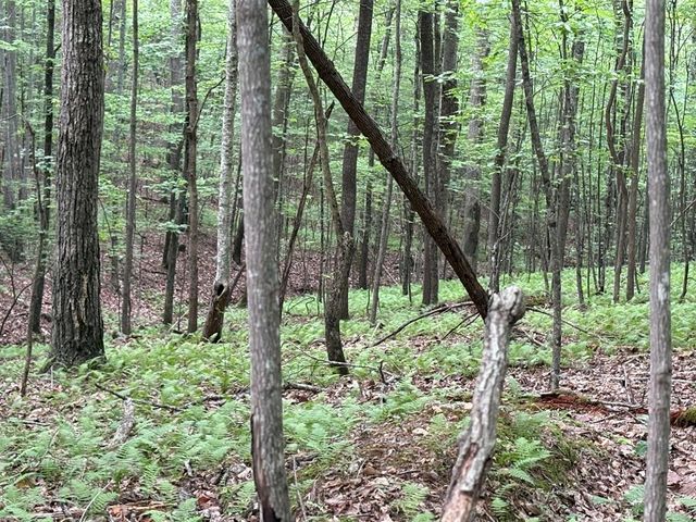 0 Walker Drive, Morganton, GA 30560