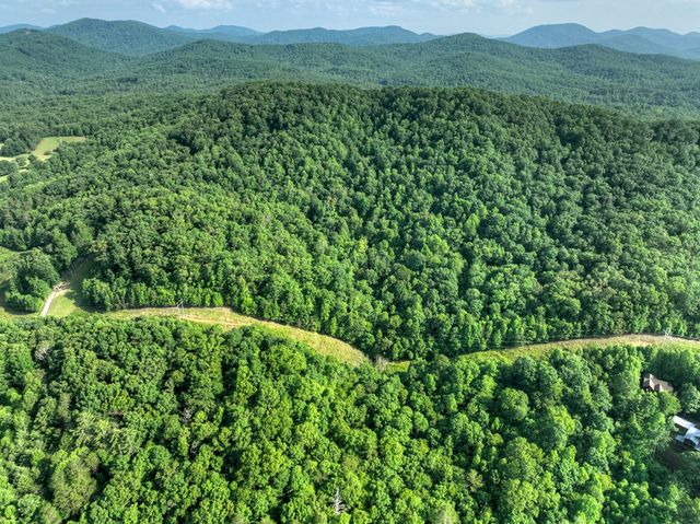 0 Walker Drive, Morganton, GA 30560