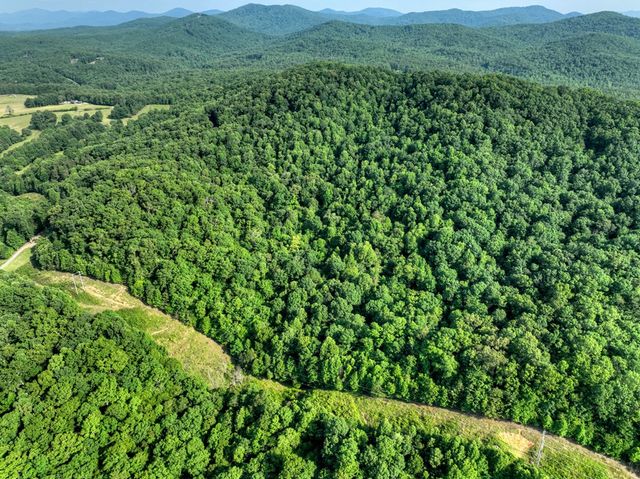 0 Walker Drive, Morganton, GA 30560