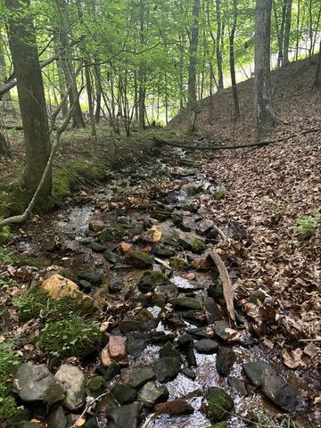 0 Walker Drive, Morganton, GA 30560