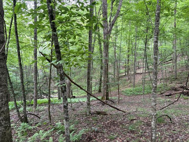 0 Walker Drive, Morganton, GA 30560