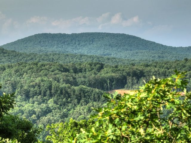 0 Walker Drive, Morganton, GA 30560