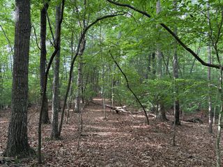 0 Walker Drive, Morganton, GA 30560