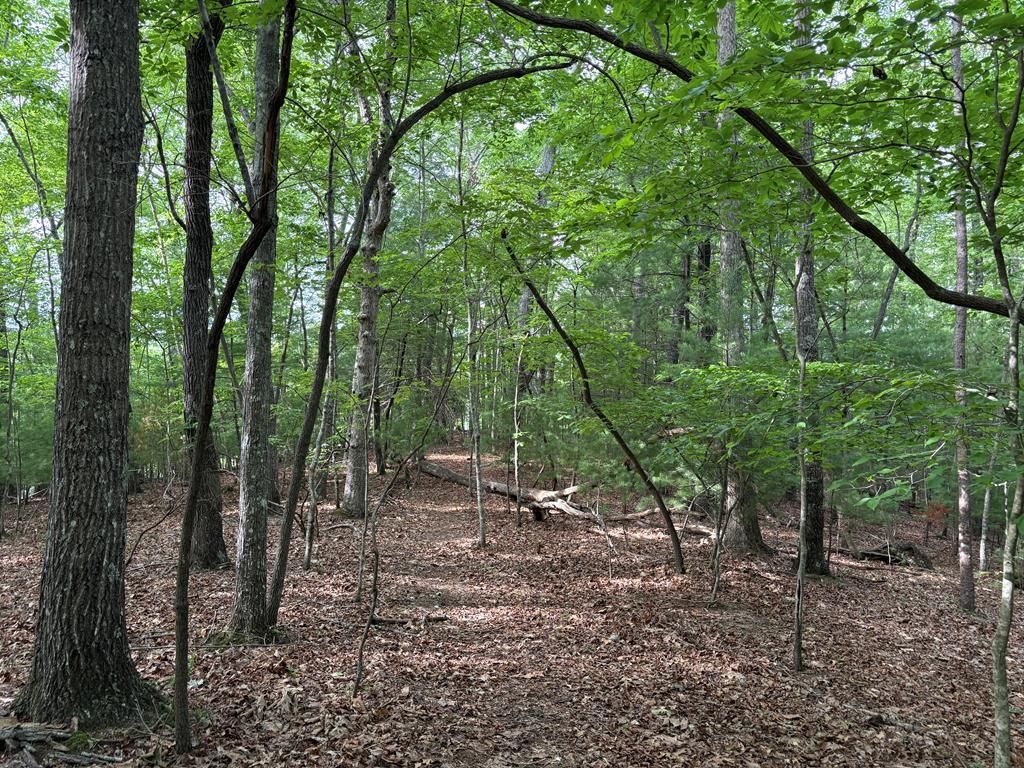 0 Walker Drive, Morganton, GA 30560