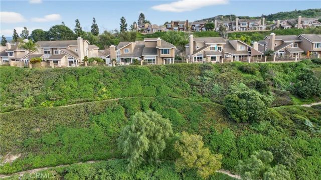 813 S Sapphire Lane, Anaheim Hills, CA 92807