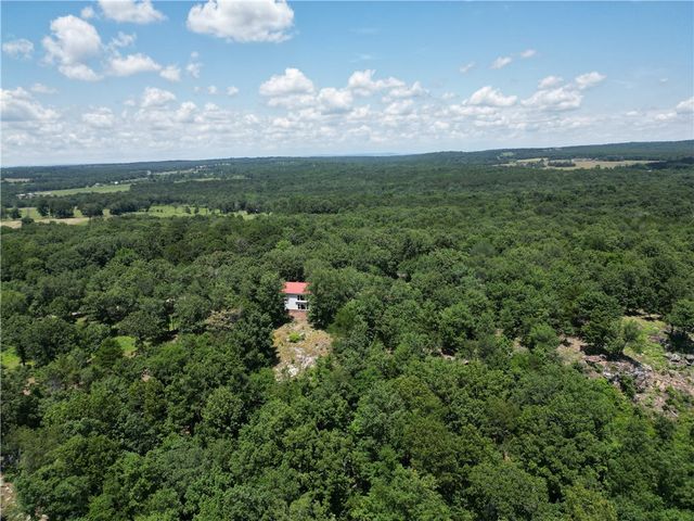 130 Giddieon Lane, Pottsville, AR 72858