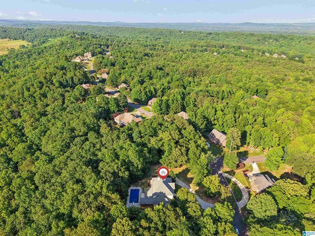 5609 RIDGEVIEW DRIVE, Trussville, AL 35173