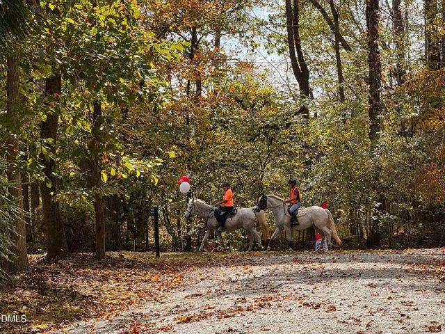 4416 Arrowhead Trail, Hillsborough, NC 27278