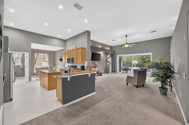 13311 GRAHAM YARDEN DRIVE, Riverview, FL 33579