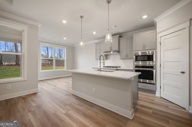 232 Rosewood Park Drive, Hoschton, GA 30548
