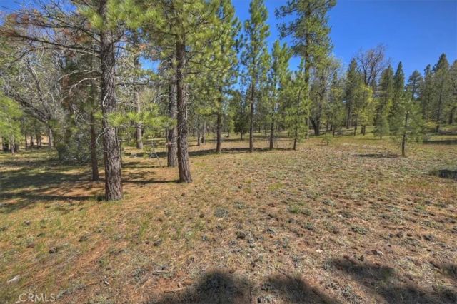 42285 Heavenly Valley, Big Bear Lake, CA 92315