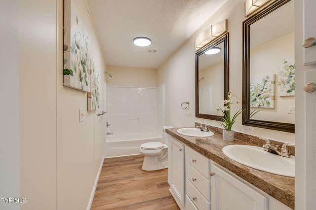 119 Carrville Avenue, Johnson City, TN 37601