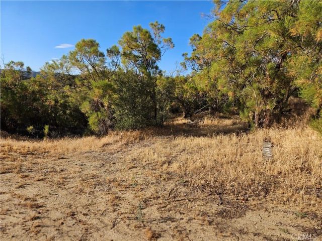 59600 Burnt Valley, Anza, CA 92539