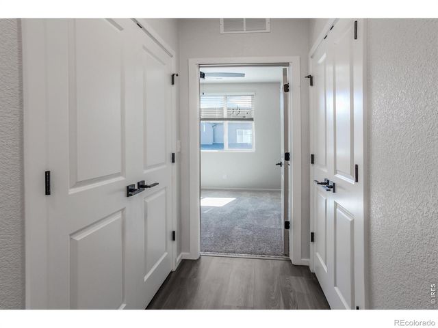 1825 Bounty Drive 5, Windsor, CO 80550