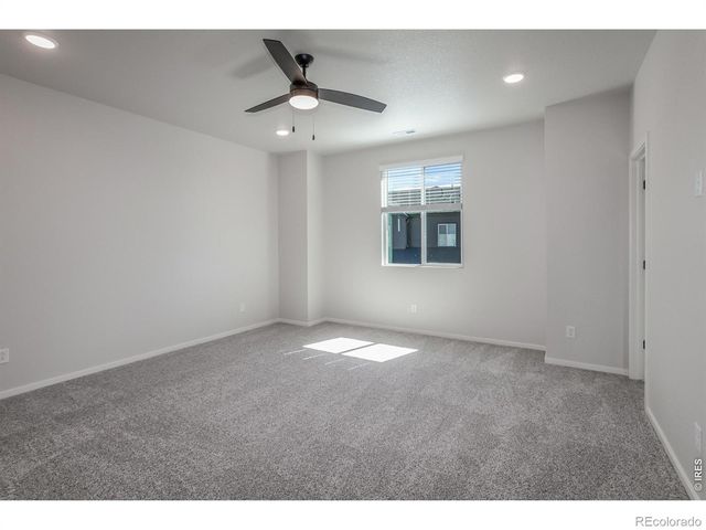 1825 Bounty Drive 5, Windsor, CO 80550