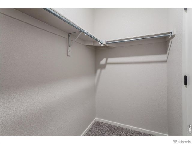 1825 Bounty Drive 5, Windsor, CO 80550