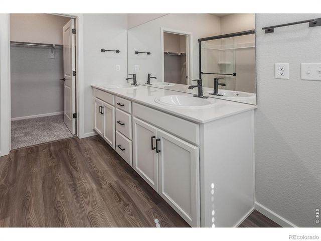 1825 Bounty Drive 5, Windsor, CO 80550