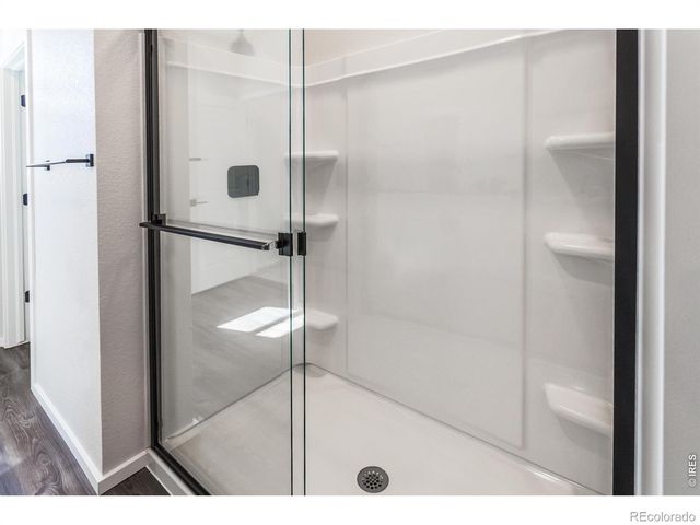 1825 Bounty Drive 5, Windsor, CO 80550