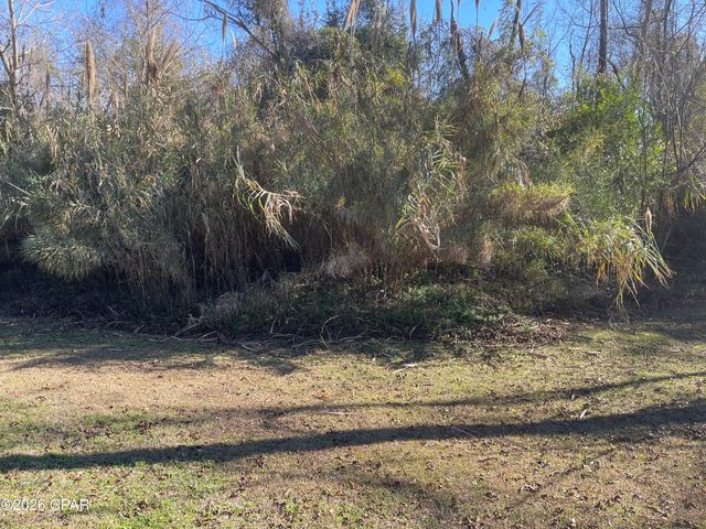 0000 Old Spanish Trail, Sneads, FL 32460