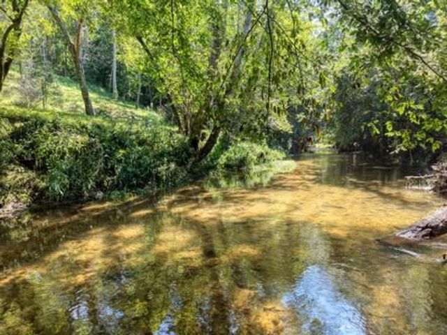300 Chapman Lane, Blairsville, GA 30512