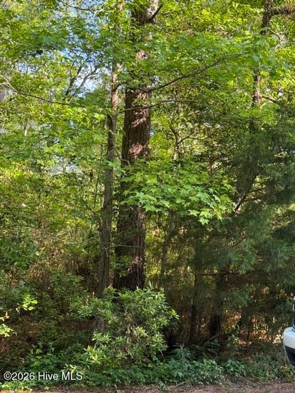 103 Emerson Court, Hampstead, NC 28443