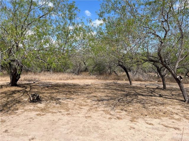 4807 N Mayberry Road, Mission, TX 78573