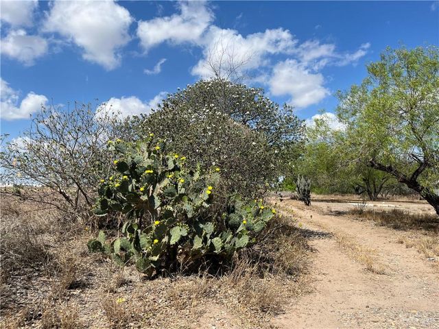 4807 N Mayberry Road, Mission, TX 78573
