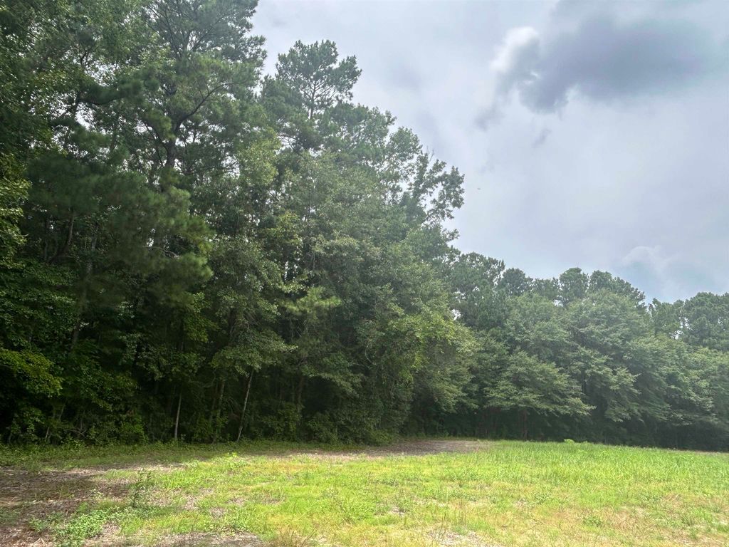 TBD Johnson Rd., Galivants Ferry, SC 29544 — exterior