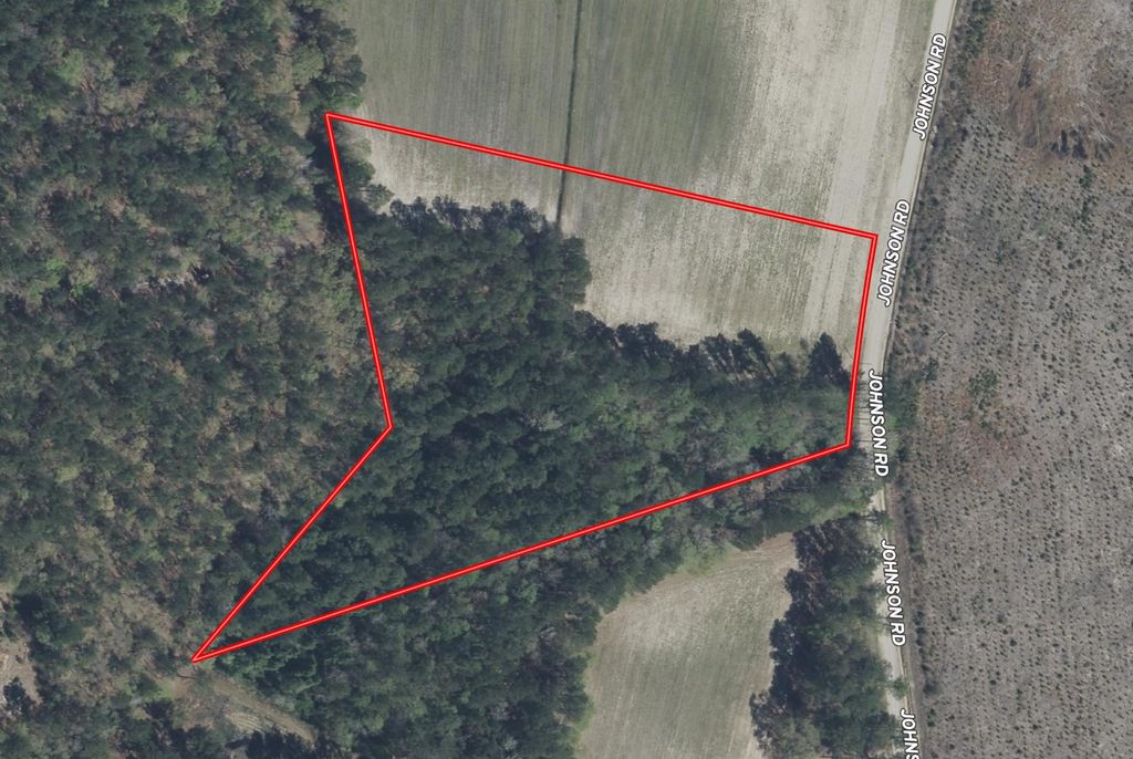 TBD Johnson Rd., Galivants Ferry, SC 29544 — photo 2