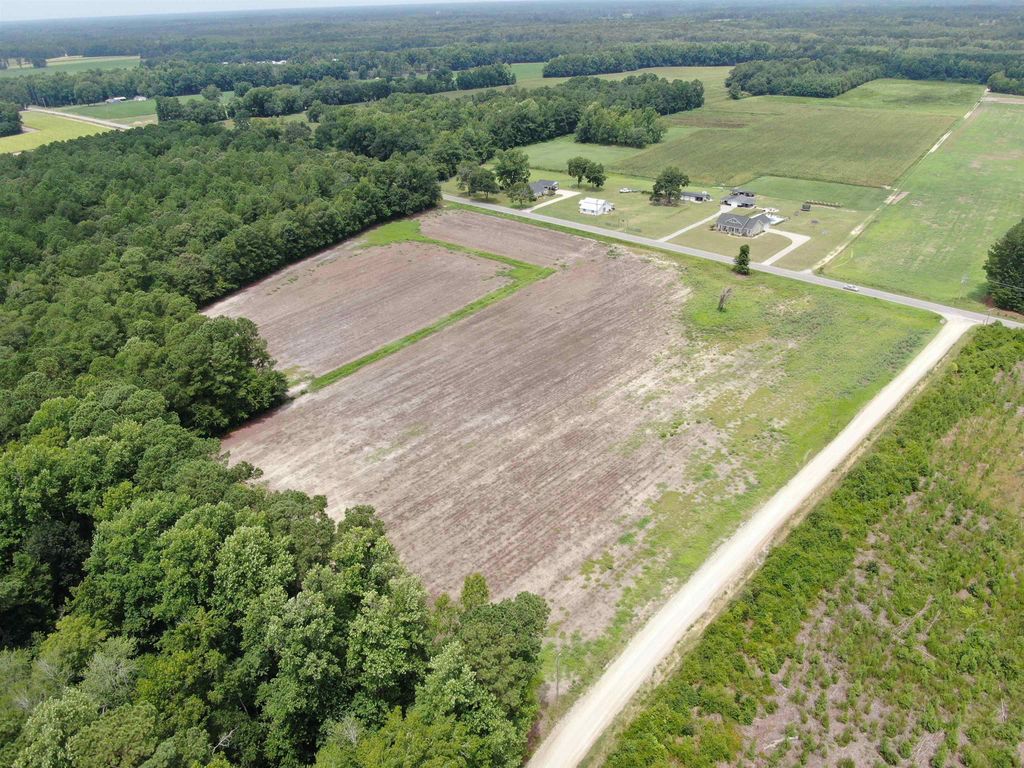 TBD Johnson Rd., Galivants Ferry, SC 29544 — photo 4