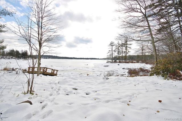 415 N Shore Drive, Wurtsboro, NY 12790