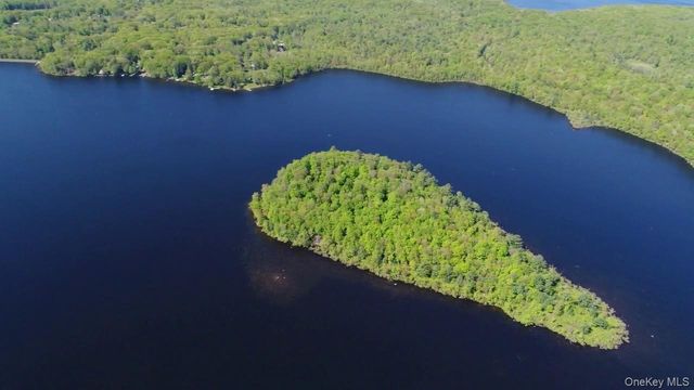 415 N Shore Drive, Wurtsboro, NY 12790