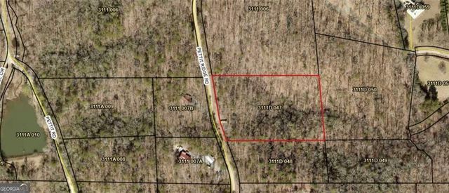0 Pettit Ridge Road, Ellijay, GA 30536