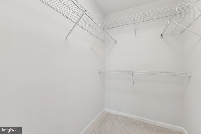 12920 NEW PARKLAND DR, Herndon, VA 20171