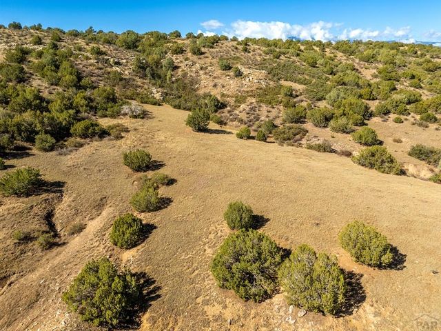 Lot 19 Canyon Point Dr., Rye, CO 81069