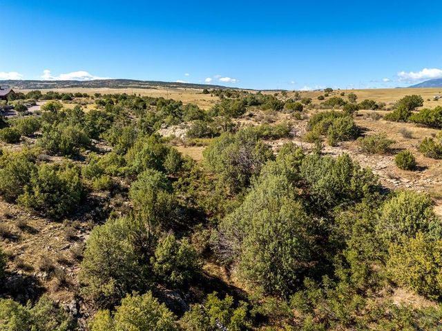 Lot 19 Canyon Point Dr., Rye, CO 81069