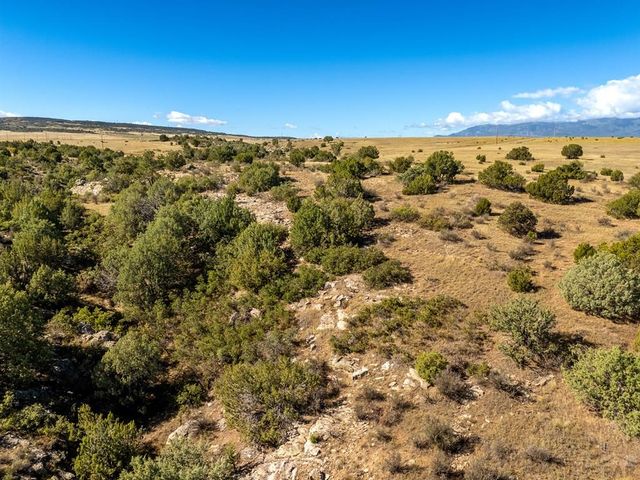 Lot 19 Canyon Point Dr., Rye, CO 81069