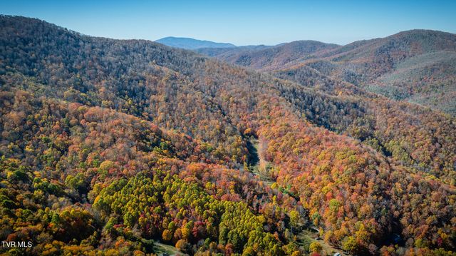 131 Hughes Hollow Road, Roan Mountain, TN 37687