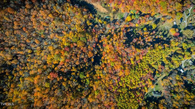 131 Hughes Hollow Road, Roan Mountain, TN 37687