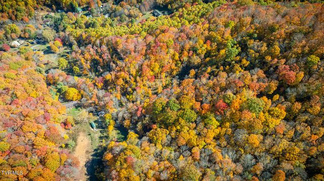 131 Hughes Hollow Road, Roan Mountain, TN 37687