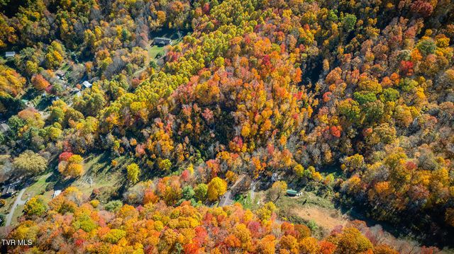 131 Hughes Hollow Road, Roan Mountain, TN 37687