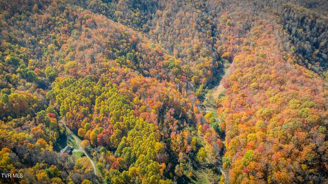 131 Hughes Hollow Road, Roan Mountain, TN 37687