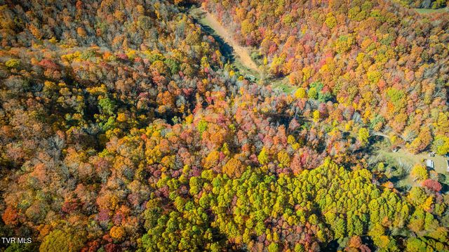 131 Hughes Hollow Road, Roan Mountain, TN 37687