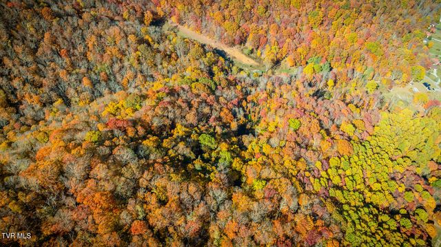 131 Hughes Hollow Road, Roan Mountain, TN 37687